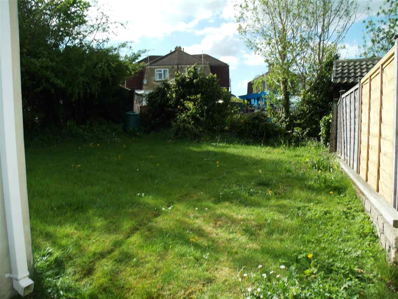 resized-2349823-back lawn.jpg
